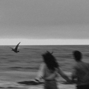 男人日女人屄视频
