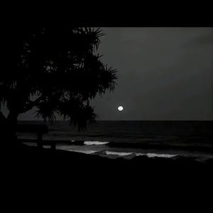 男人日女人屄视频
